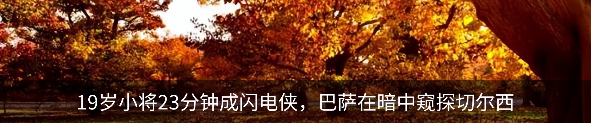 新闻动态